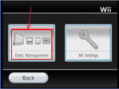 data_management_wii_hack.jpg